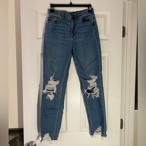 American Eagle Mom Jeans